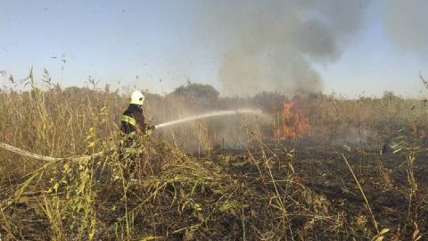 Пожар в Луганской области локализовали