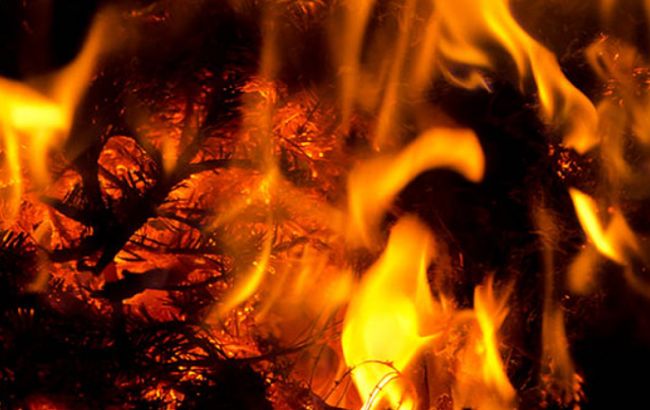 Під Херсоном згоріла головна новорічна ялинка: люди знімали на відео, сміялися та позували