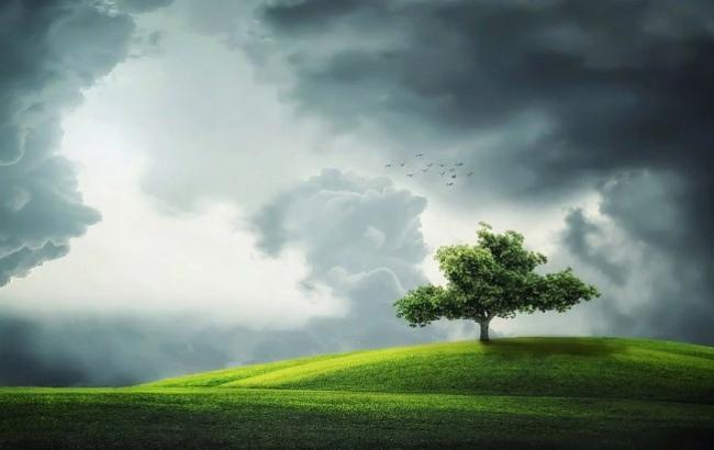 Свежесть и жара: синоптики уточнили прогноз погоды на воскресенье