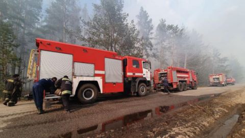 В Житомирской области ликвидировали крупнейший очаг пожара