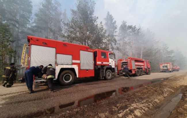 У Житомирській області ліквідували найбільший осередок пожежі