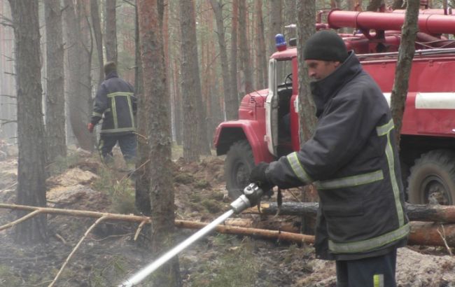 В Житомирской области локализовали два очага лесных пожаров
