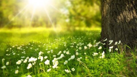 "Беріть побільше сонечка": синоптик дала прогноз погоди на неділю