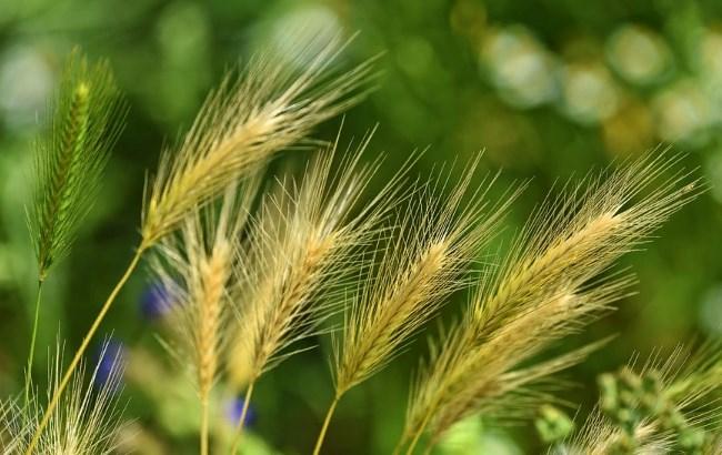 "Тучи развеются": синоптики дали прогноз погоды на воскресенье