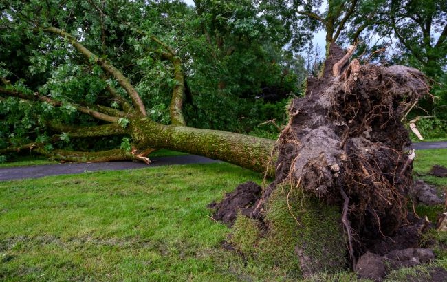 Шторм в Норвегії: зруйновано дамбу, евакуйовано тисячі людей