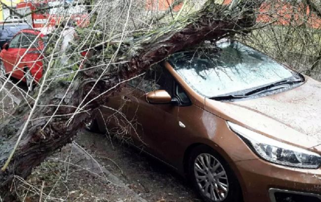У Чехії стався потужний ураган, знеструмлено 15 тис. будинків