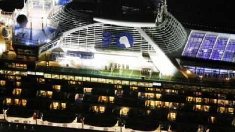 Коронавирус на лайнере в Японии: на борту могут быть 20 украинцев