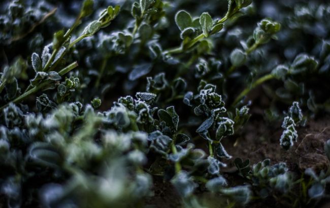 В Украину идут сильные заморозки