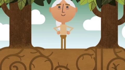 Міжнародний день Землі: Google по-особливому відзначив це свято