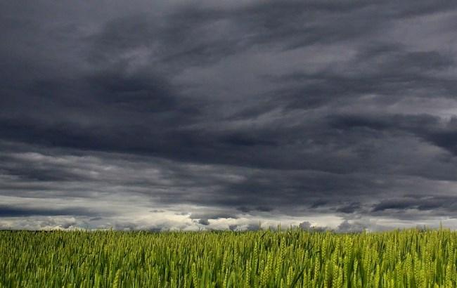 Загроза підтоплення, зливи і аномальна спека: синоптики дали прогноз на 29 липня