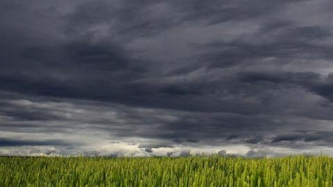 Берите зонтики: синоптики предупредили о резком изменении погоды 5 августа