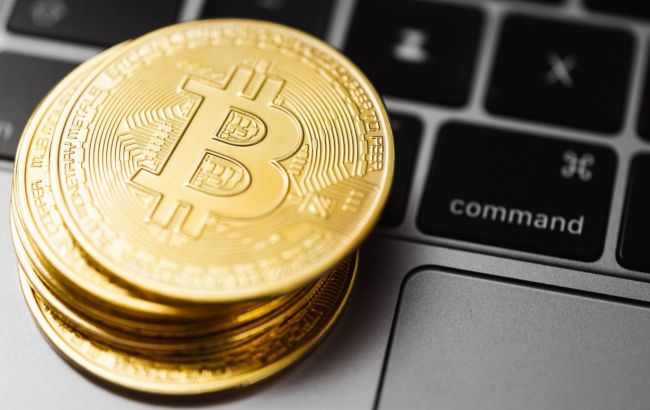 Илон Маск считает завышенным курс биткойна