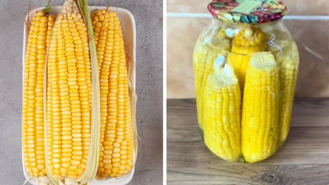Кукуруза на зиму без лишних хлопот: простой рецепт кочанов со вкусом лета