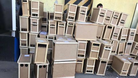 "Укрпочта" о гибели 8 млн пчел: это впервые, виновата погода