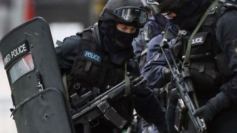 На акции в поддержку Палестины в Лондоне пострадали девять полицейских