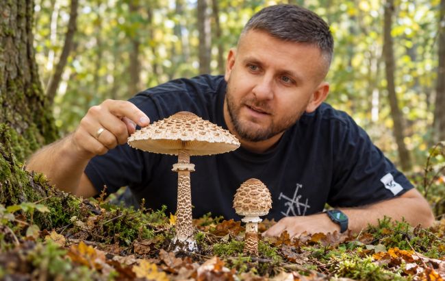 Як відрізнити їстівний гриб-парасольку від смертельно отруйної лепіоти: головні відмінності (відео)