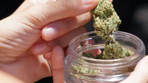 Палата представників в США проголосувала за легалізацію канабісу