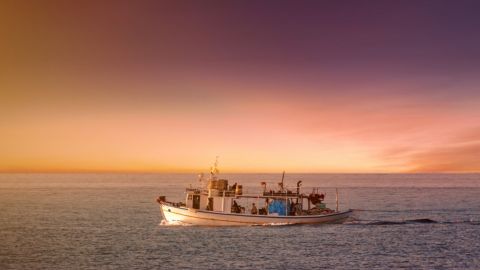 Возле берегов Японии столкнулись два грузовых судна