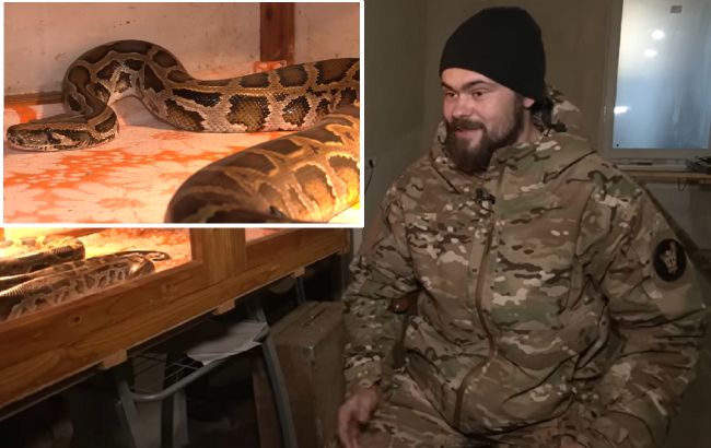 Боєць ЗСУ врятував триметрового пітона з підбитого російського танка (відео і фото)