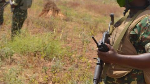 В Нигере во время полевых работ боевики убили 37 человек