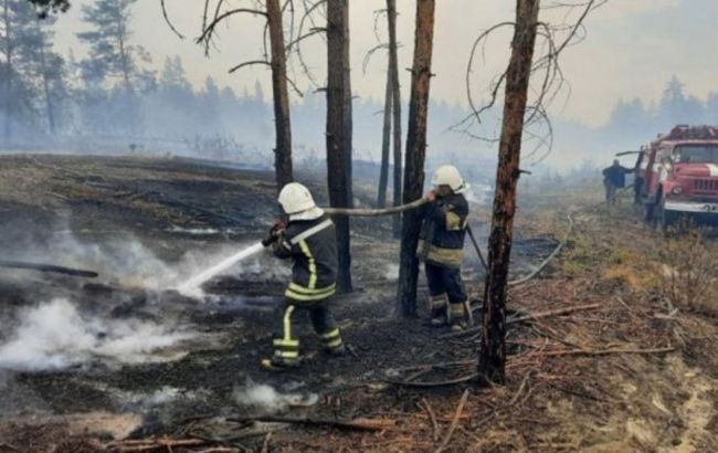 ОБСЕ не зафиксировала существенного вреда сооружениям в результате пожаров в Луганской области