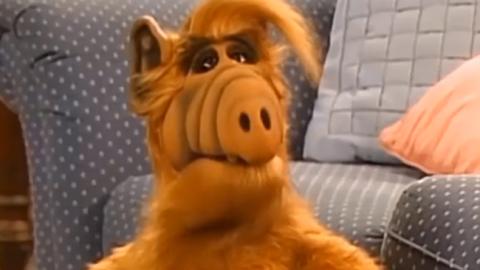 Альф вернется на Землю: в США готовят перезапуск культового сериала