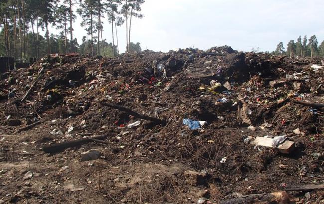 Пожежа на звалищі сміття у Києві ліквідовано, - ДСНС