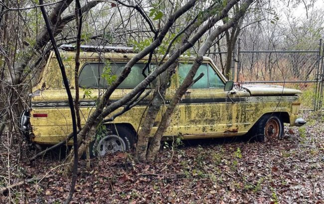 Обнаружен заброшенный автосалон, где сквозь машины проросли деревья
