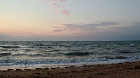 Странная находка на берегу Азовского моря шокировала туристов (фото)