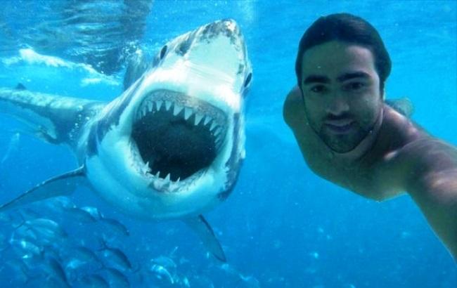 Статистика: люди чаще гибнут от селфи, чем от акул
