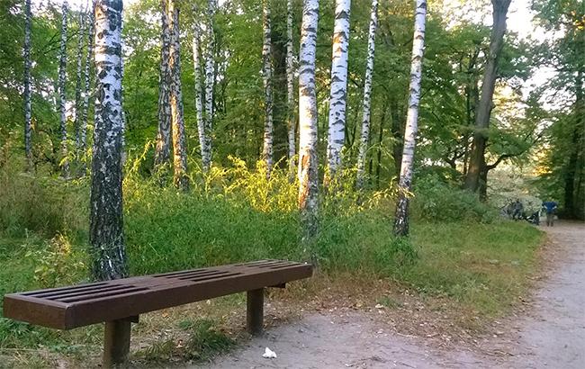 Верховный суд отменил передачу земли в Сырецком парке в частную собственность