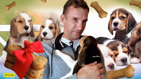 Андрій Шевченко розчулив соцмережі дуже зворушливим фото