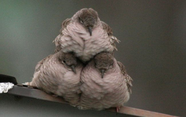 Погода на завтра: в Україні місцями сніг, температура до +13