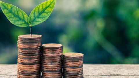 Для экомодернизации промышленности нужно возвращать бизнесу часть эконалога, - экологи