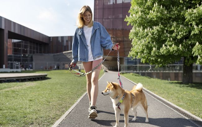 Як допомогти тваринам у спеку: правила прогулянок з улюбленцем влітку