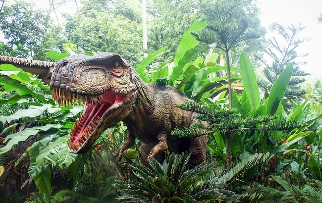 В сети опубликовали потрясающий снимок мумии динозавра