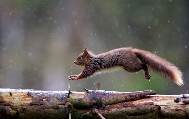 Погода на сьогодні: в Україні дощі, температура до +24