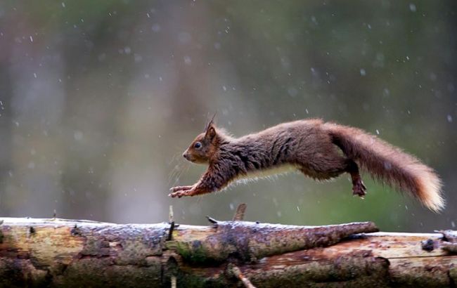 Погода на сегодня: на западе Украины дожди, температура до +23