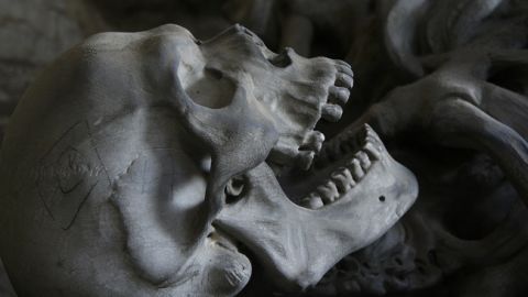 Дом с человеческими останками: под Харьковом женщину шокировала покупка недвижимости