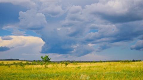 Погода на Петра и Павла: синоптик дала прогноз на 12 июля
