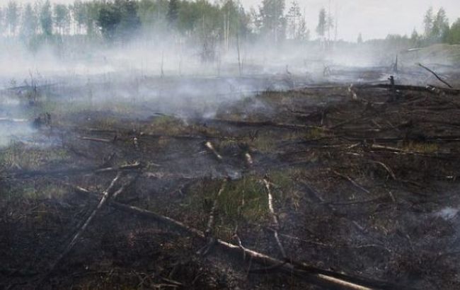 В Киевской области продолжают гореть торфяники, - ГСЧС