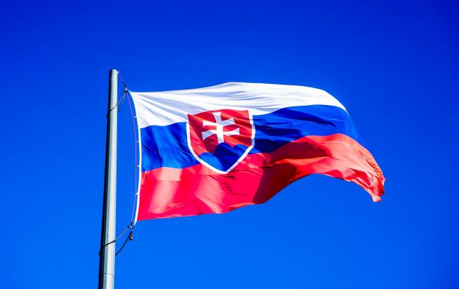 Не только зерно. Словакия расширила список продуктов, запрещенных к импорту из Украины