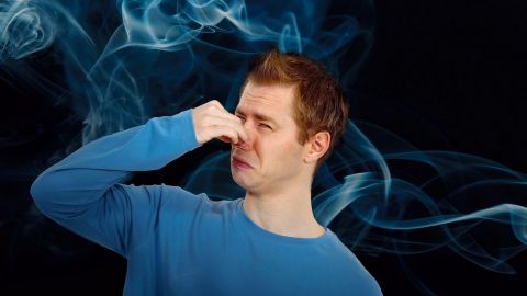 Французькі парфуми: концерн Stellantis хочуть оштрафувати за запах фарби