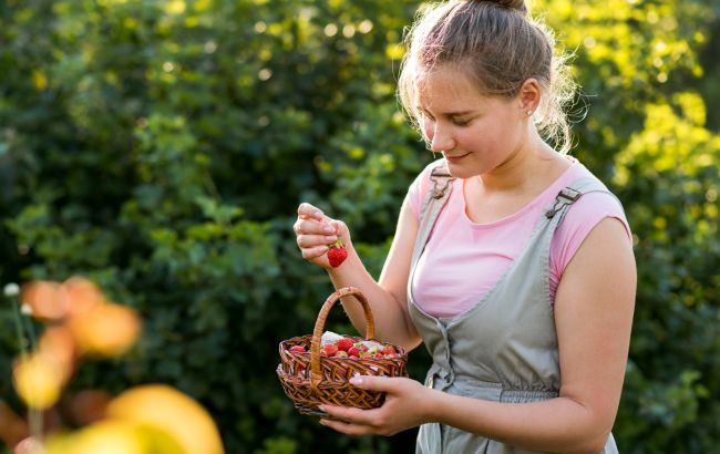 Снижает риск инсульта и укрепляет кости: какую ягоду нужно есть всем