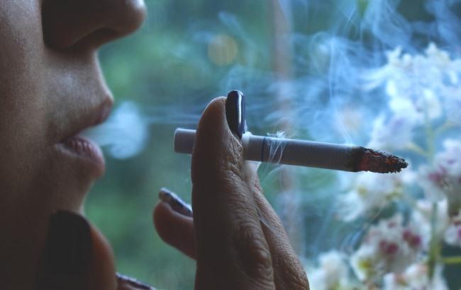 В Чехии запретили курить в общественных местах