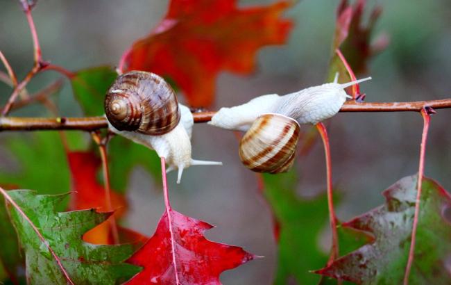 Погода на сегодня: по всей стране переменная облачность, температура до +30