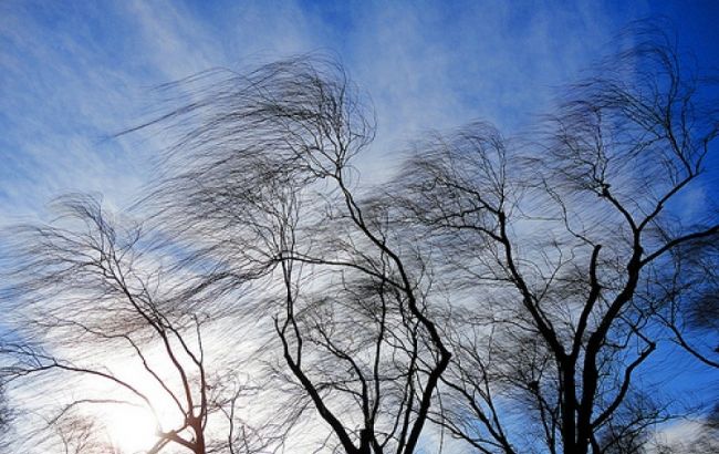 ГСЧС предупреждает о сильных порывах ветра 27 декабря