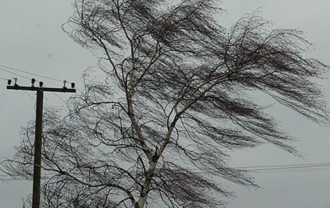 В Киевской области из-за сильного ветра обесточены 27 населенных пунктов, - ГосЧС