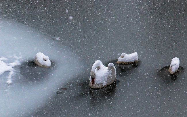 Последний день зимы: синоптики предупредили украинцев, где пройдет снег