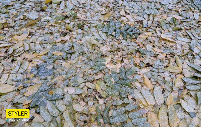 У Києві випав перший сніг: фото і відео запорошеної столиці